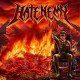 HATENEMY - Reign In Terror CD